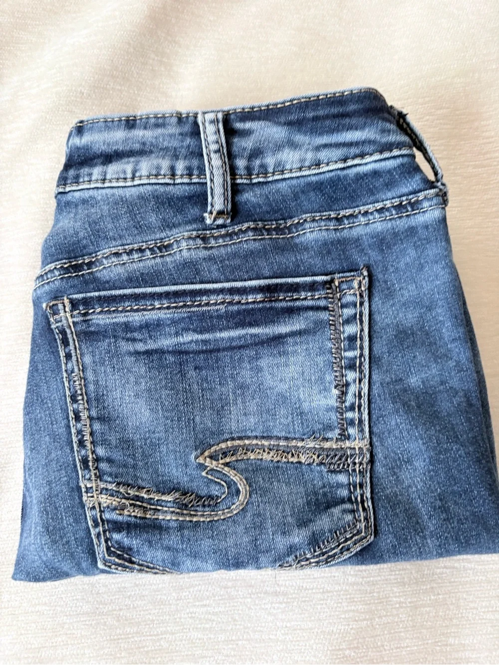 Silver Jeans Women's Skinny Jeans in Blue Wash